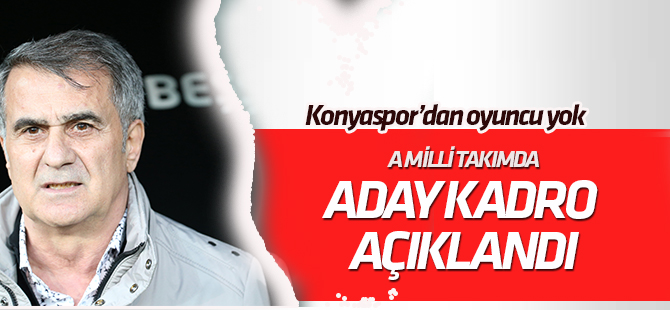 Şenel Güneş, Arnavutluk ve Moldova maçlarının  kadrosunu açıkladı