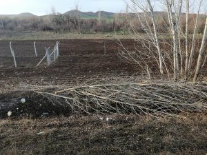 Ticari araç şarampole uçtu: 3 yaralı
