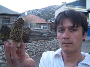 Beyşehir mantar zengini