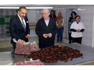 2019’da 1 milyar dolar hedef