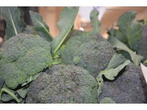 Besin deposu brokoliye ilgi az