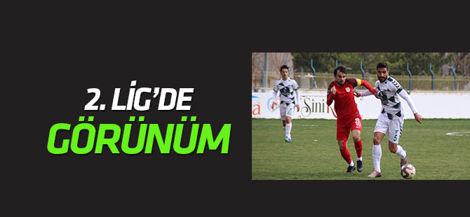 TFF 2. Lig'de görünüm