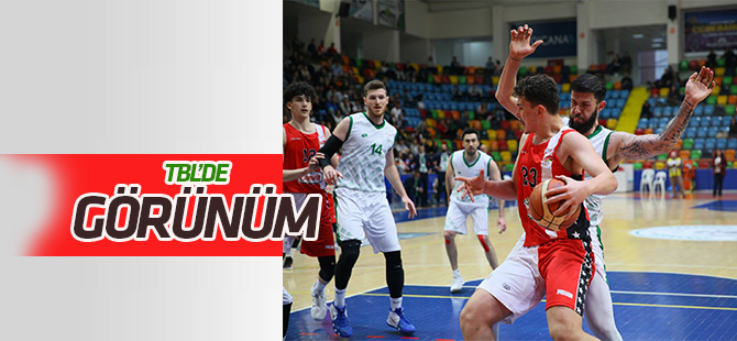 Türkiye Basketbol Ligi'nde görünüm