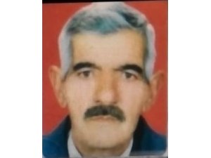 Alzheimer hastası soğuktan donarak öldü