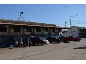 Trabzon Toptancı Balık Hali son yılların en durgun dönemini yaşıyor