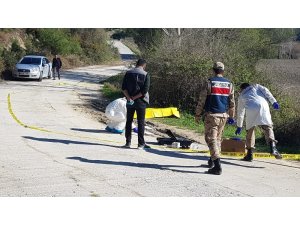 Döverek öldürüp yol kenarına attılar