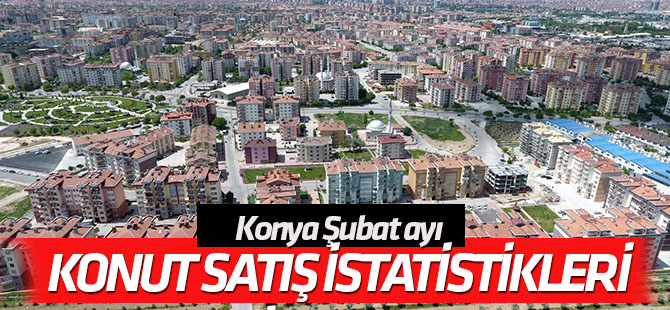 Konya konut satış istatistikleri (Şubat 2019)