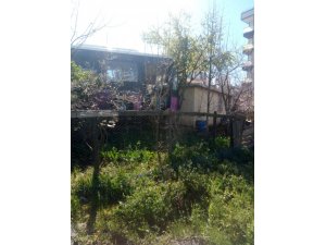 Direksiyon başında fenalaşan otobüs sürücüsü gecekonduya çarptı