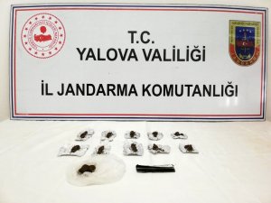 Yalova jandarmasından uyuşturucu operasyonu