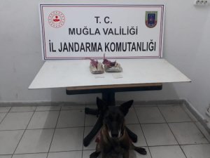 1 kilo esrar Çimen’in dikkatinden kaçmadı