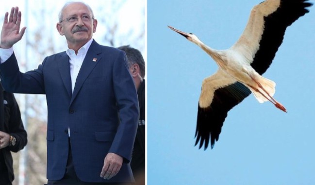 Kılıçdaroğlu umudunu leyleğe bağladı!