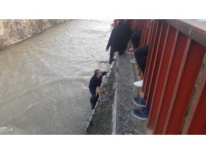 4 metre yükseklikten dereye düşen yavru köpeği itfaiye kurtardı