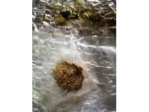 Didim’de 228 gram kristal ele geçirildi
