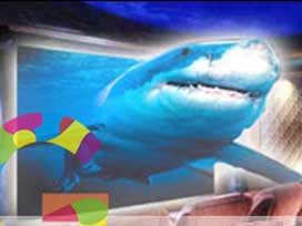 3 boyutlu TV kanalı yayına başlıyor