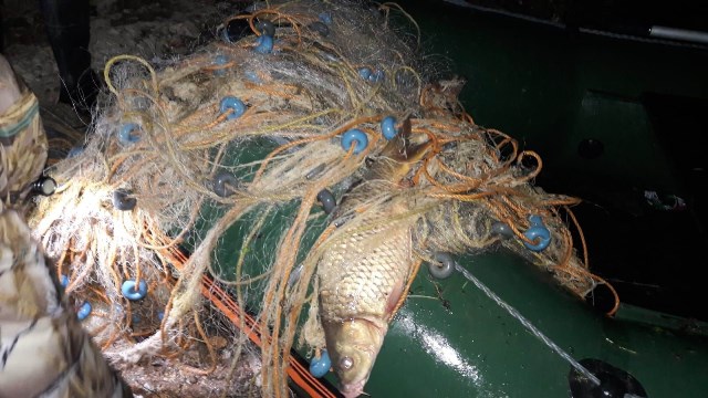 Altınapa baraj gölünde ekipler yasak avcılara göz açtırmıyor