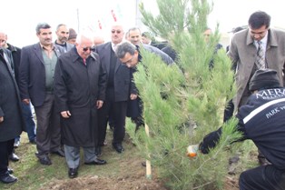 Binlerce fidan toprakla buluşuyor