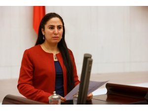 HDP’li Ayşe Sürücü’ye 1 yıl 8 ay hapis cezası