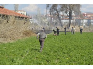 Tavşanlı’da anız yangını büyümeden söndürüldü