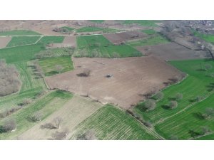 Sezonun ilk kenevirleri ekilmeye başlandı