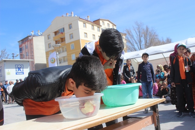 Karapınar’da Nevruz kutlamaları