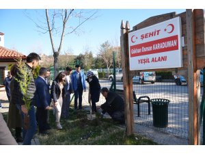 AK Parti Kadın Kolları Genel Başkanı Çam, Kızılcahamam'da