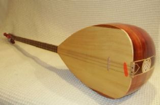 ABD'li çiftin bağlama aşkı