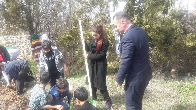 Millet kıraathanesi bahçesinde fidanlar toprakla buluştu
