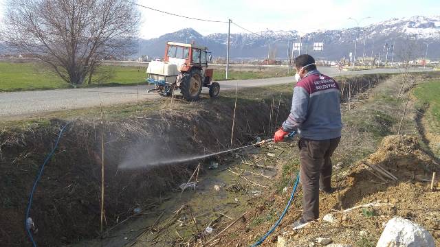 Seydişehir’de larva mücadelesi