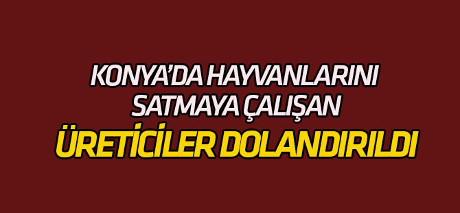 Hayvanlarını Satmaya Çalışan Üreticiler Dolandırıldı