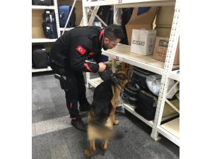 Şehirlerarası Otobüs Terminalinde Narkotik uygulaması