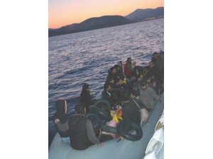 Kuşadası Körfezi’nde can pazarı