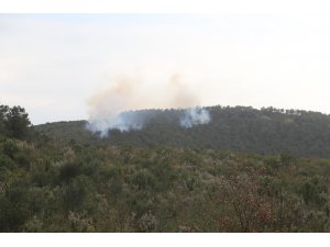 GÜNCELLEME- İstanbul'da orman yangını