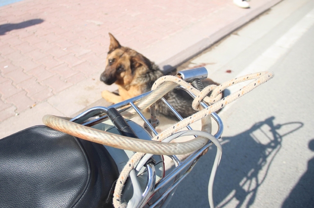 Köpeği motosiklete bağlayıp sürüklediler
