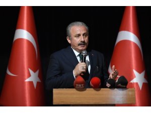 "S-400 kararımız NATO'ya bağlılığımızdan sapma olarak görülemez"