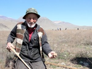 Dolaman mantarı için genci yaşlısı bastonunu alan araziye koşuyor