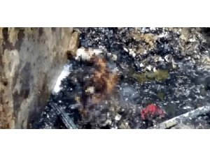 5 yaşındaki Bilal’in feci ölümü