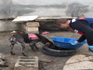 Iğdır’da sigara ve alkol kaçakçılığı