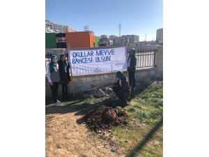 Okullar meyve bahçesi oluyor