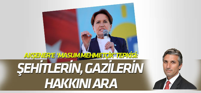 Nedim Şener'den Meral Akşener'e, "Masum Mehmetçik" tepkisi