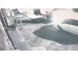 Bolu’da eski iş yerini soyan 3 kişi adliyeye sevk edildi