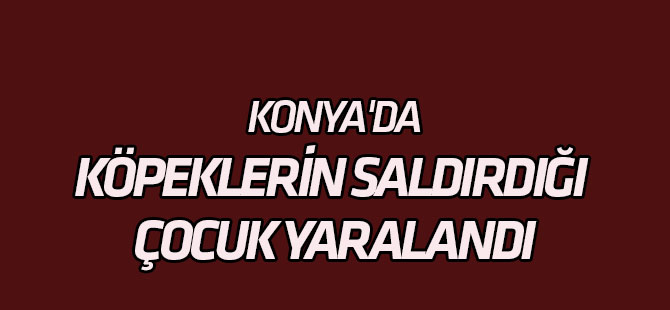 Okula giderken köpeklerin saldırdığı çocuk yaralandı
