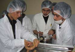 Kalite yakalanırsa seri üretim var