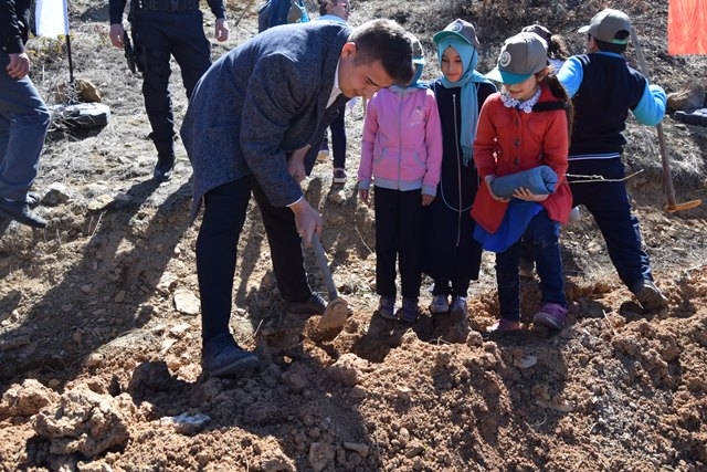 Hadim'de öğrenciler 500 badem fidanı dikti