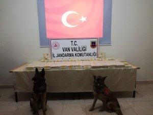 Jandarmadan nefes kesen uyuşturucu operasyonu
