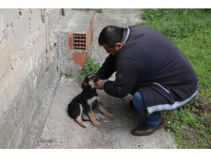 Köpeği suni solunumla hayata döndürmenin mutluluğunu yaşıyor