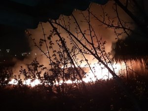 Antalya’da sazlık yangını