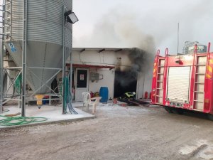 Saruhanlı’da tavuk tesisinde yangın