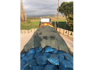 TIR’da 24 ton kaçak midye yakalandı