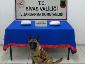 Jandarmadan kaçakçılık operasyonları