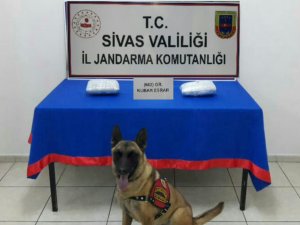 Sivas'ta kaçakçılıkla mücadele
